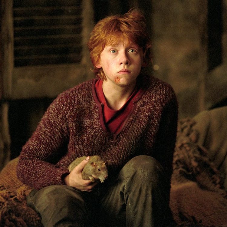 Harry Potter - Rupert Grint